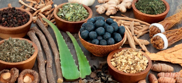 Adaptogens: Top 9 Adaptogenic Herbs for Stress and More - Dr. Axe