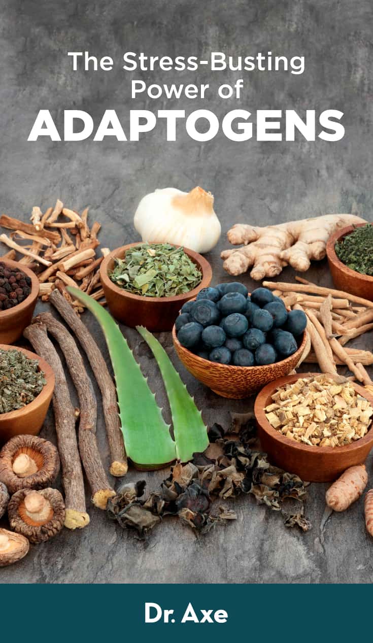 12 Adaptogens to Balance, Restore and Protect the Body Dr. Axe