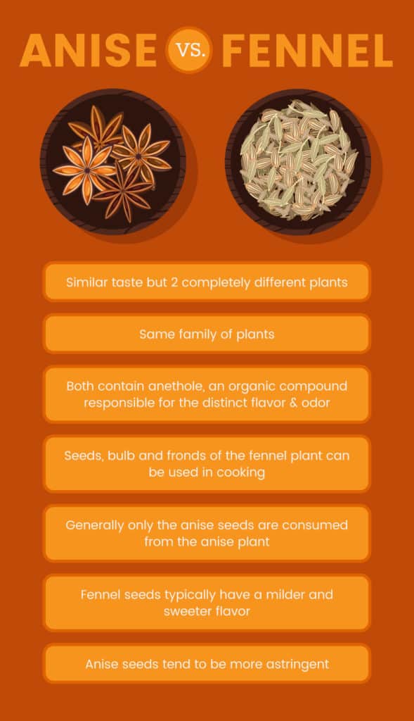 Anise Seed Benefits Blood Sugar & May Protect Against Ulcers Dr. Axe