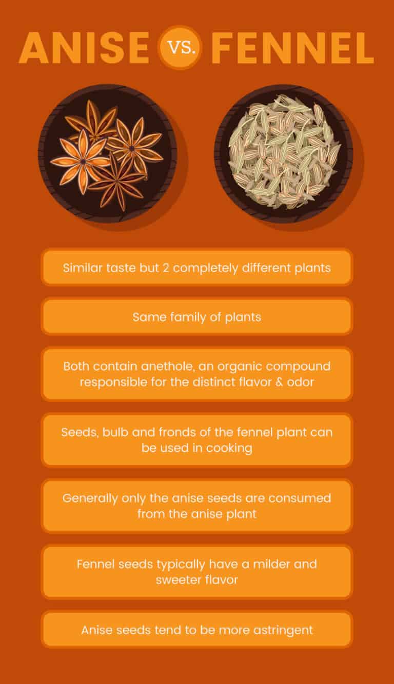 Anise Seed Benefits Blood Sugar & May Protect Against Ulcers Dr. Axe