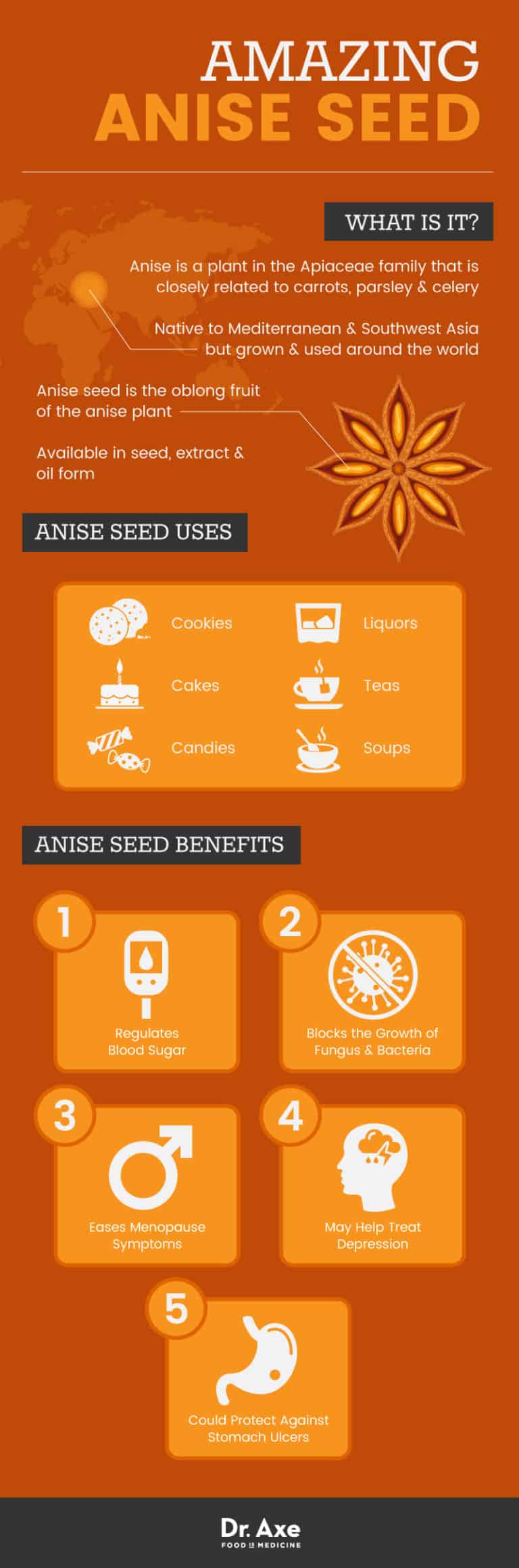 Anise Seed Benefits Blood Sugar & May Protect Against Ulcers Dr. Axe