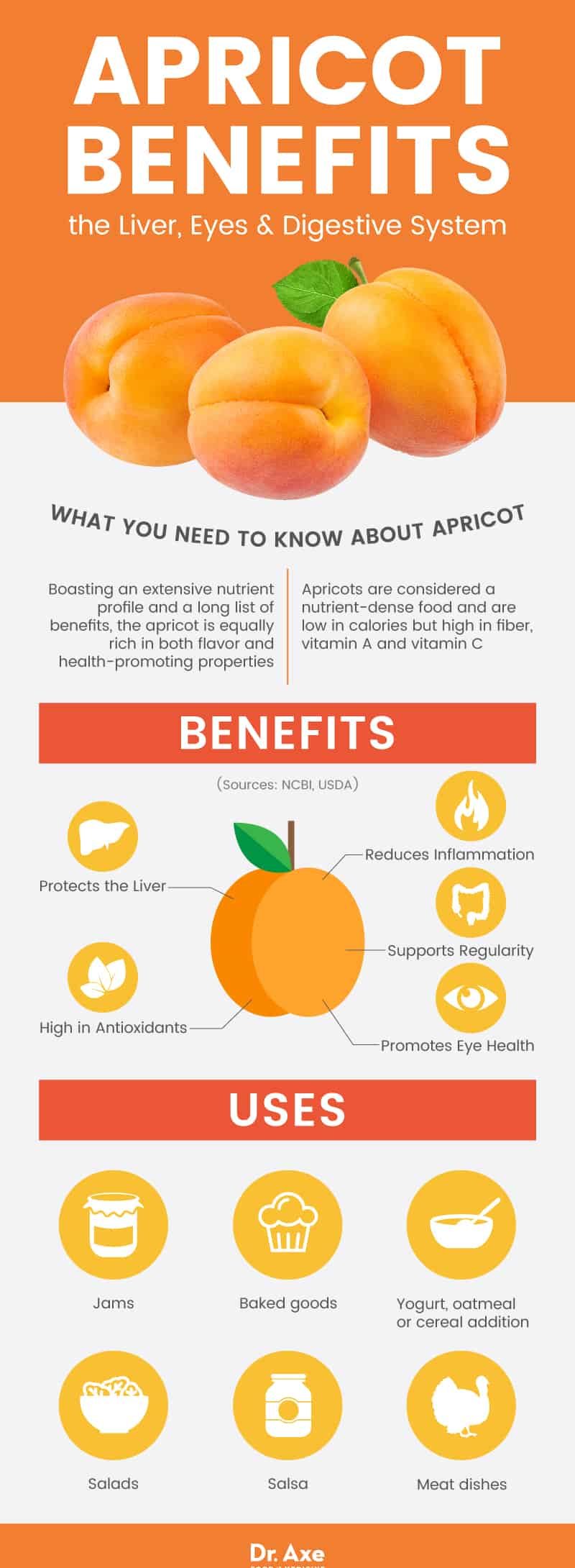 Apricot benefits - Dr. Axe