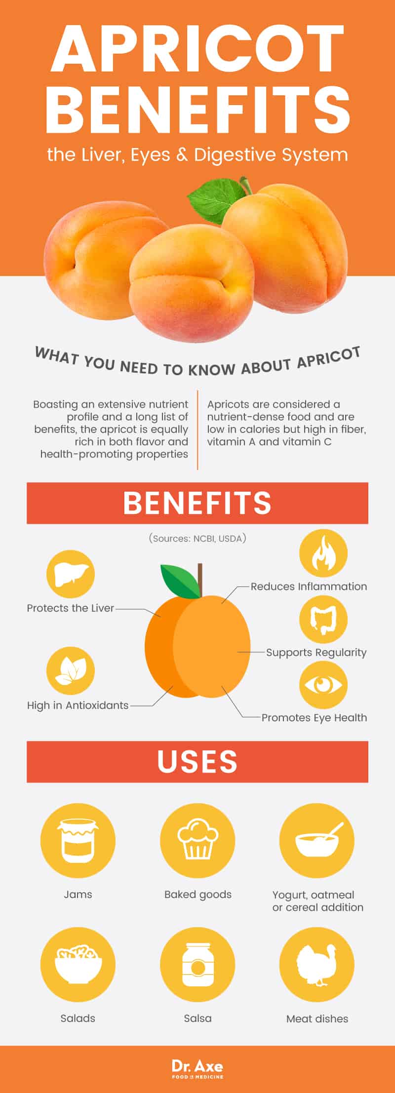 Apricot benefits - Dr. Axe