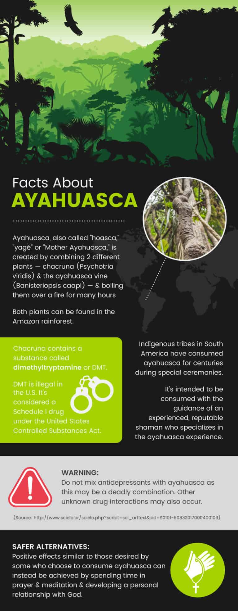 Ayahuasca: What It Is + Understanding The Dangers - Dr. Axe