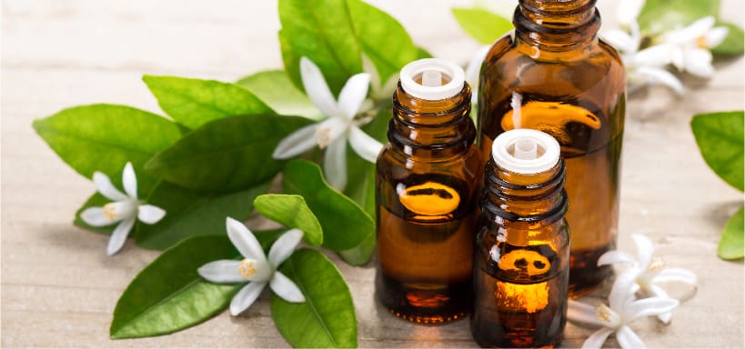 Neroli discount smell description