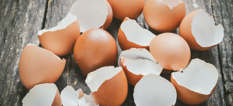 Eggshell Uses, Eggshell Benefits & How to Eat Eggshells - Dr. Axe