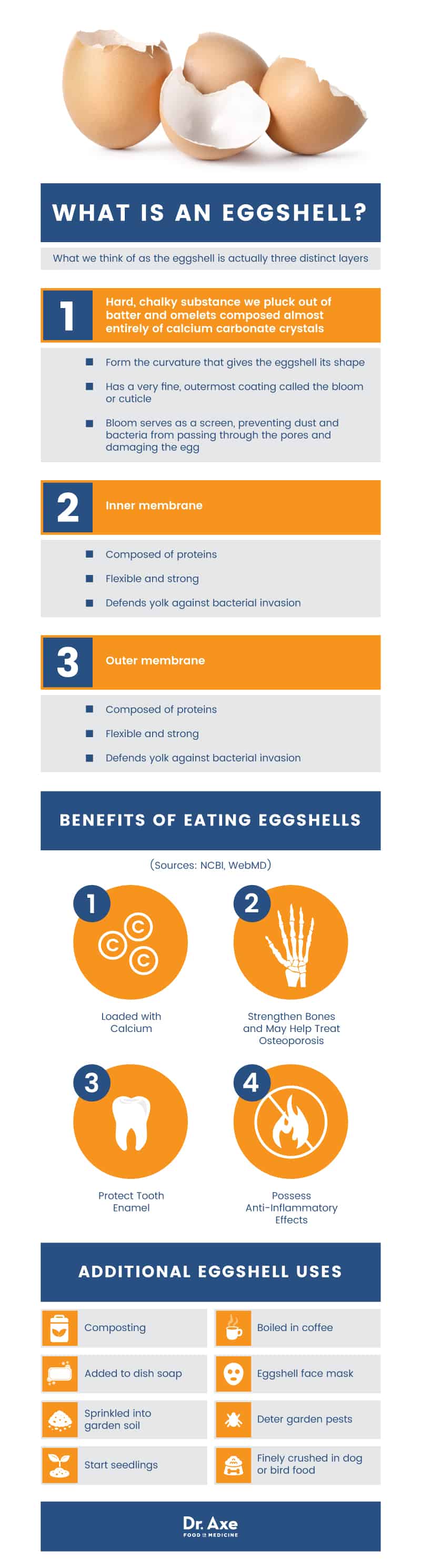 Eggshell Uses Eggshell Benefits How to Eat Eggshells Dr. Axe