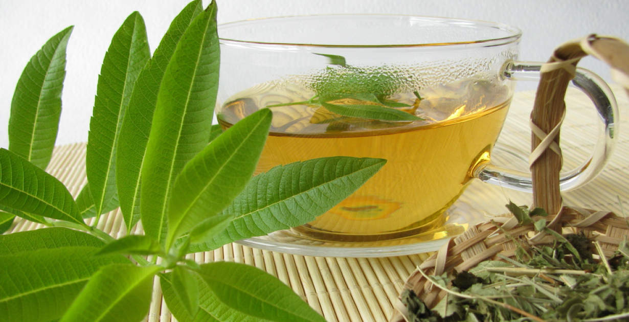 Lemon Verbena: Tasty Herb & Tea (+5 Health Benefits) - Dr. Axe