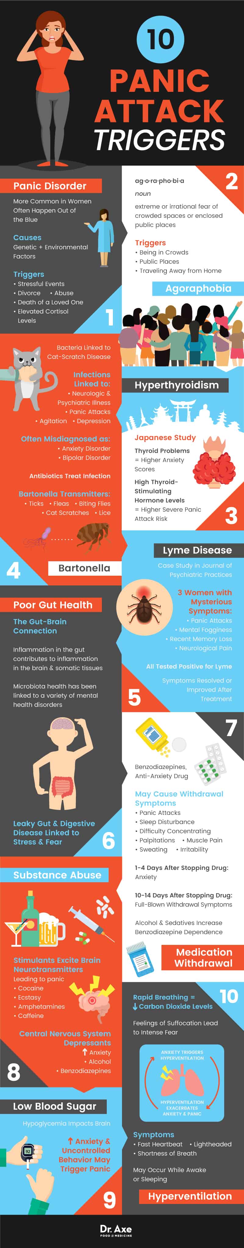 Spider Bite Symptoms + How & When to Treat Them at Home - Dr. Axe