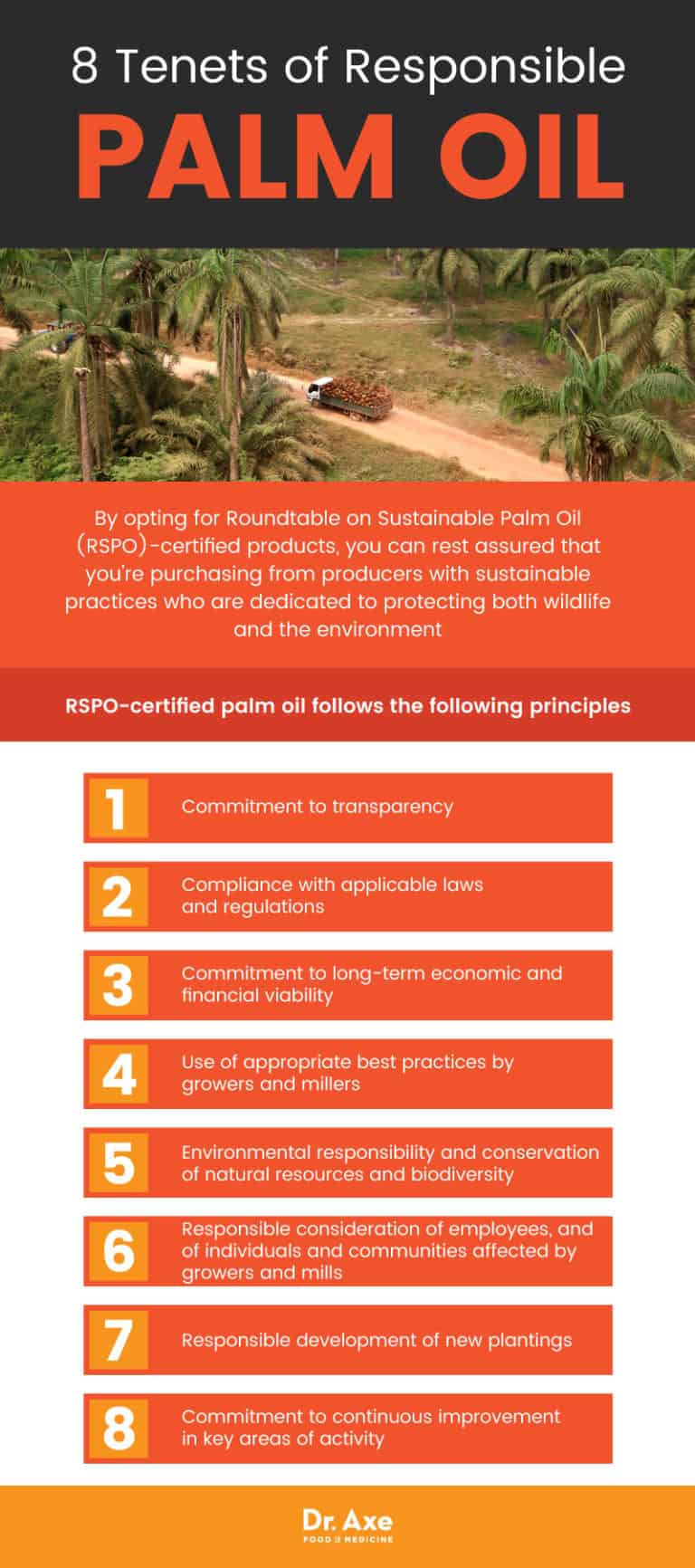 Red Palm Oil Healthy Oil or Environmental Hazard? Dr. Axe