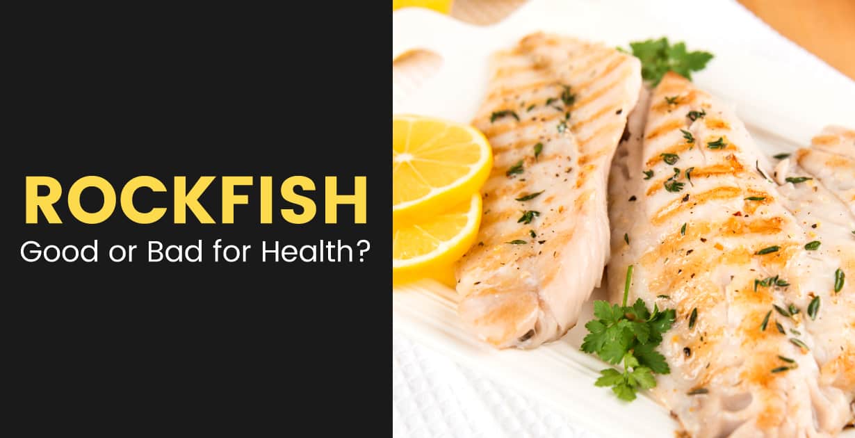 Rockfish Good Or Bad For Your Health Rockfish Alternatives Dr Axe