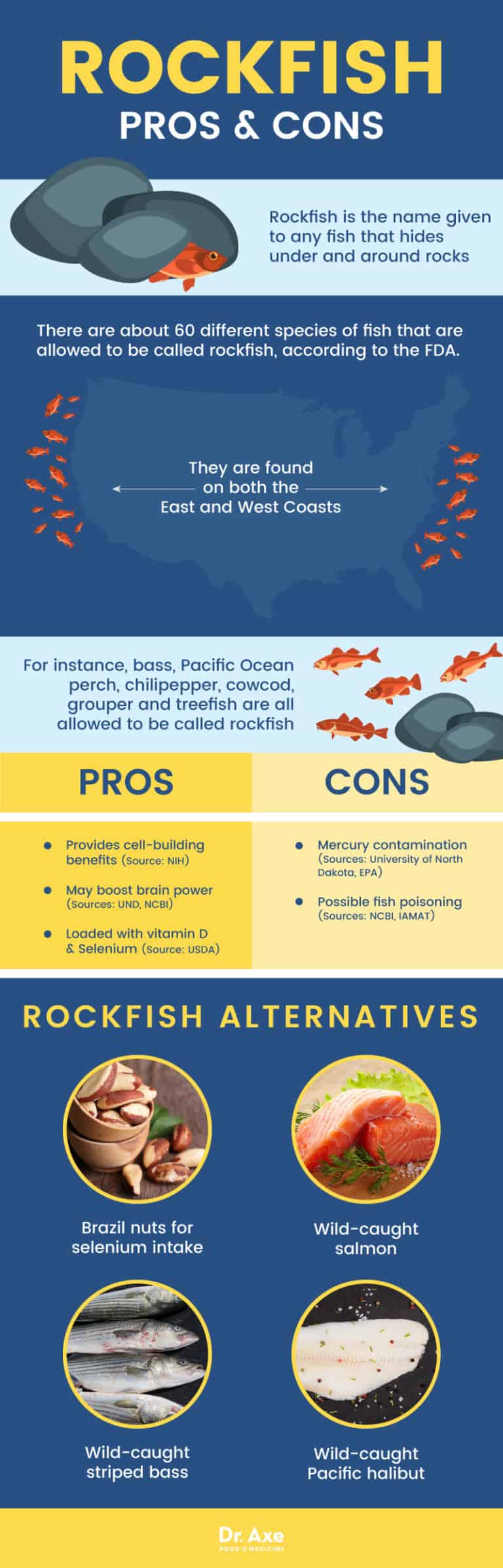 Rockfish Good or Bad for Your Health + Rockfish Alternatives Dr. Axe