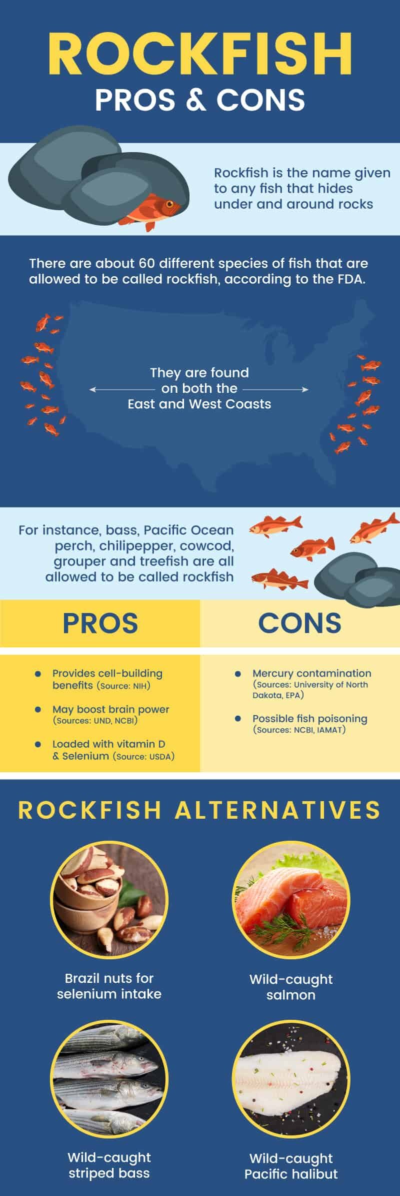 Rockfish pros and cons - Dr. Axe