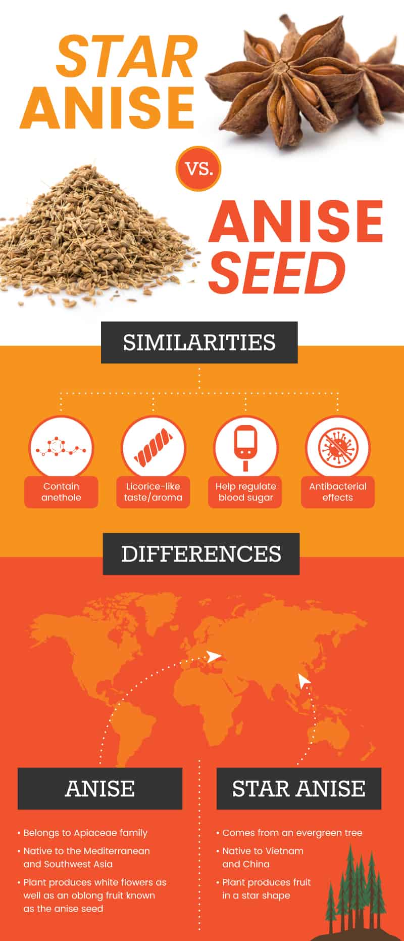 Star anise vs. anise seed - Dr. Axe