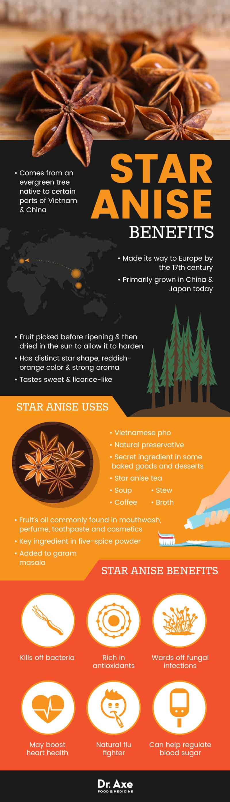Star anise benefits - Dr. Axe