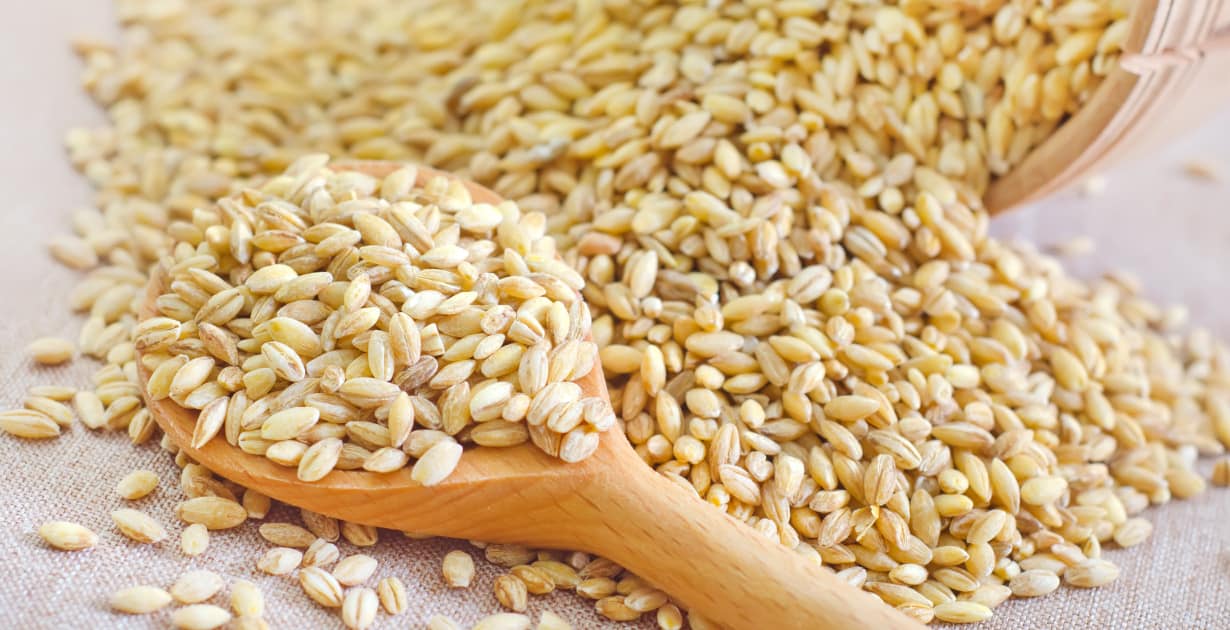 Wheat Berries Nutrition Benefits How To Use And Side Effects Dr Axe