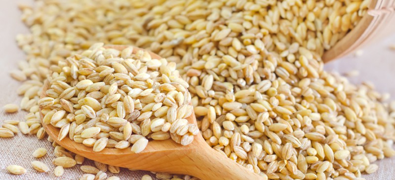 Wheat Berry Nutrition Chart