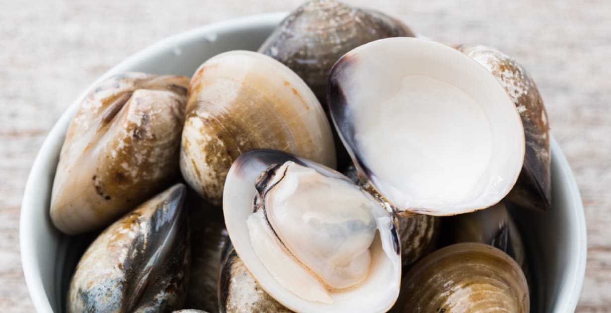 Bivalve Pros & Cons: Should You Eat Mollusk? - Dr. Axe