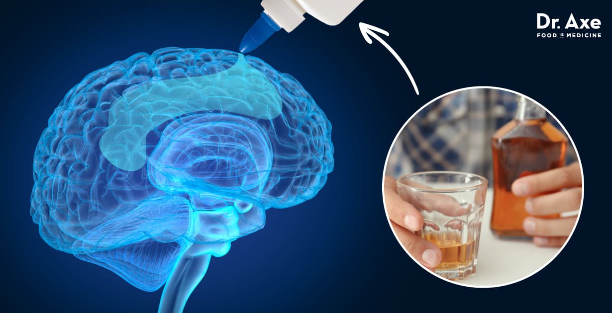 What Parts Of Your Brain Does Alcohol Affect