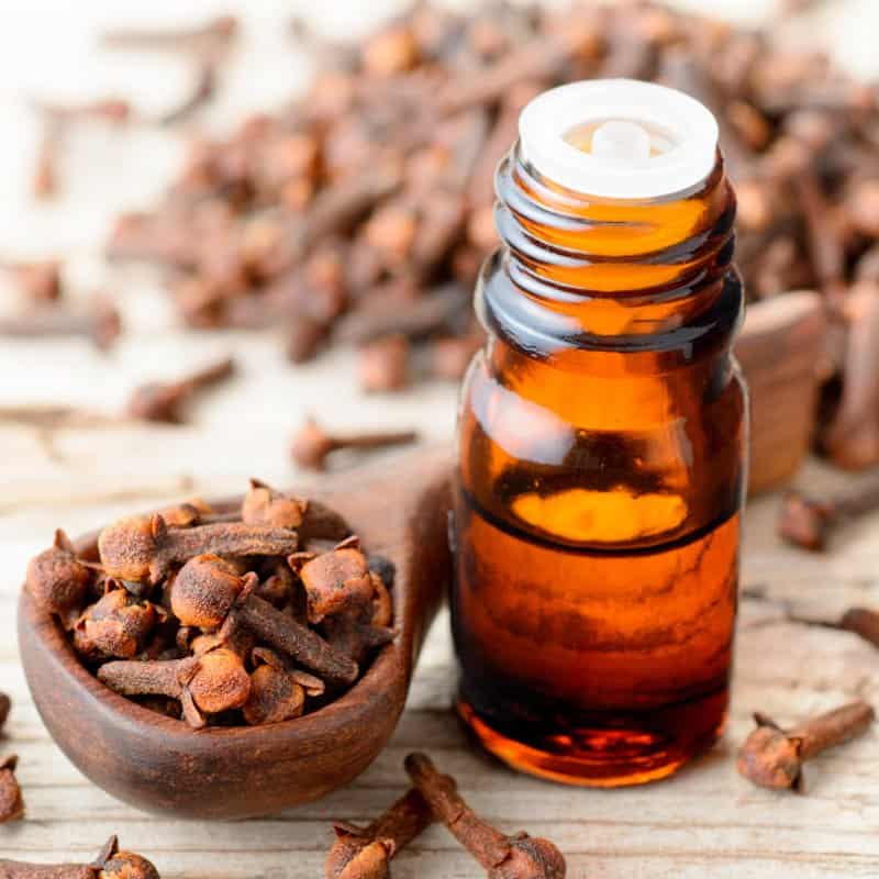 Clove Essential Oil