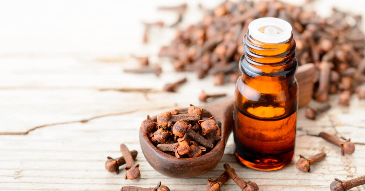 What Is Clove Essential Oil Good For In A Diffuser