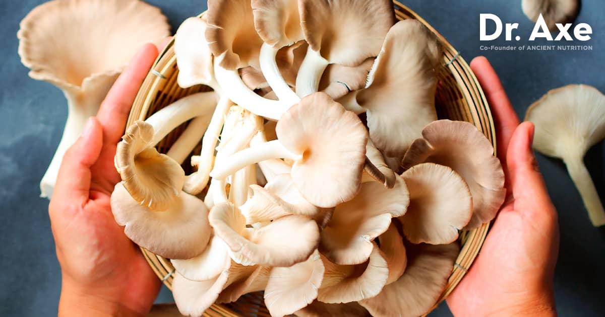 Oyster Mushrooms Benefits Nutrition And How To Cook Dr Axe