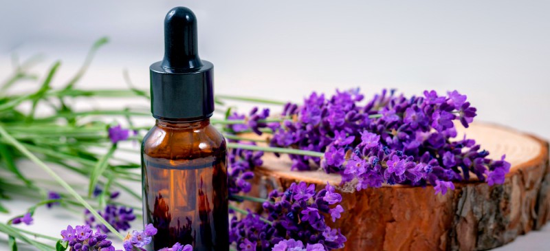 Lavender Oil Might Help You Sleep, but Be Careful Which Essential