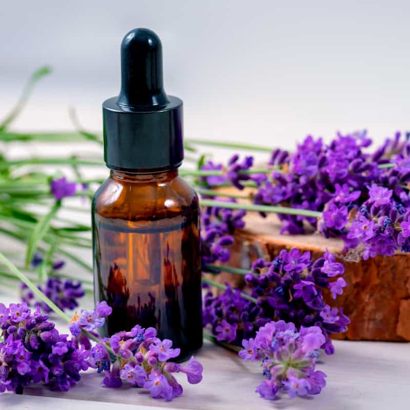 Lavender oil - Dr. Axe