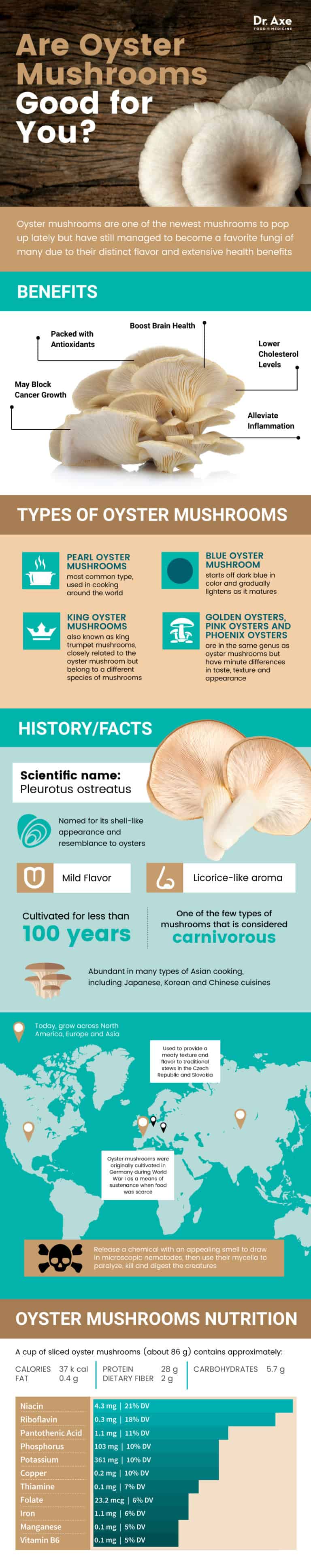 Oyster Mushrooms Benefits, Nutrition And How To Cook - Dr. Axe