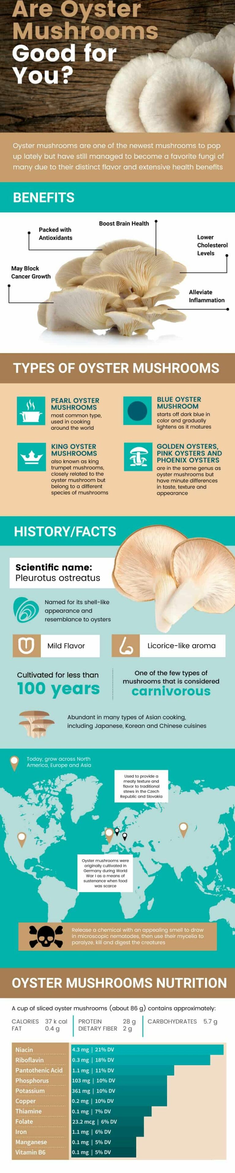 Oyster Mushrooms Benefits, Nutrition and How to Cook Dr. Axe