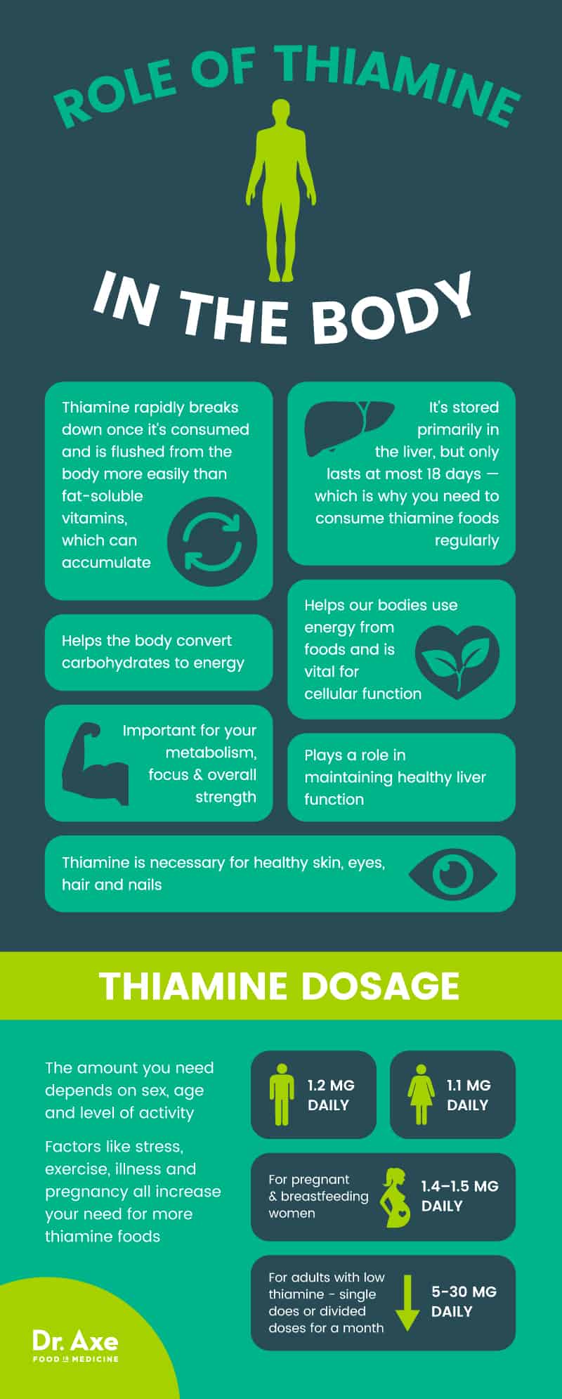 Role of thiamine - Dr. Axe