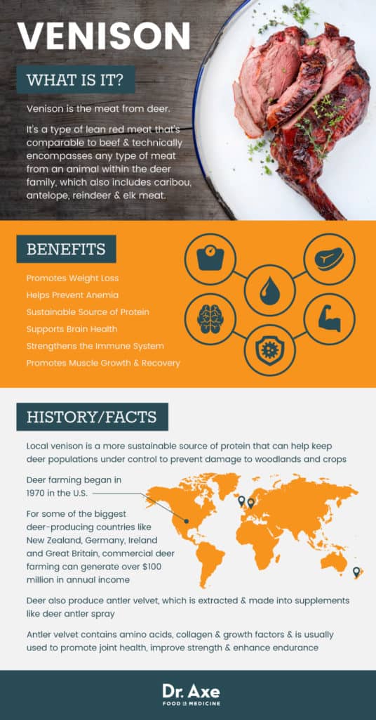 Venison Benefits Is It Safe to Eat Deer Meat? Dr. Axe