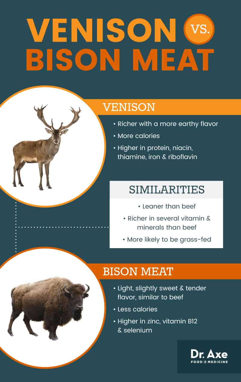 Venison vs. bison meat - Dr. Axe