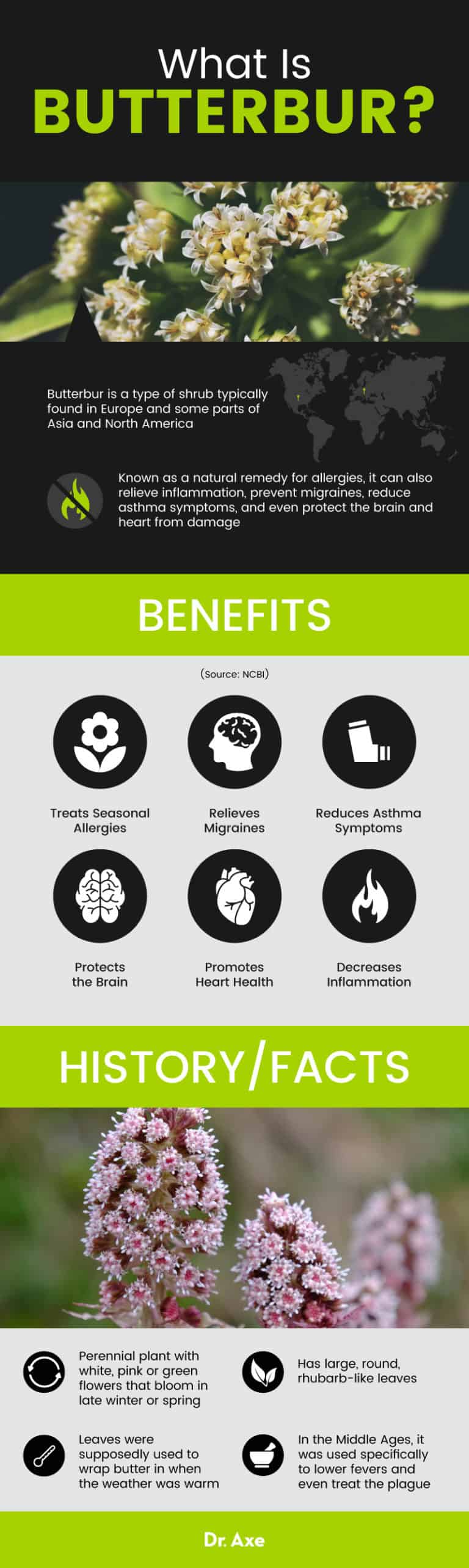 Butterbur The Herb that Relieves Allergies, Migraines & More Dr. Axe