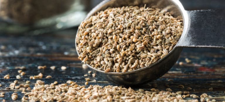 Can You Eat Celery Seed Top 5 Celery Seed Benefits Dr Axe can-you-eat-celery-seed-top-5-celery-seed-benefits-dr-axe