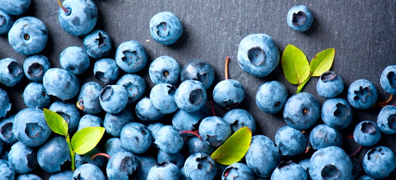 Health Benefits of Blueberries: Antioxidant-Rich Superfoods by Rachael Link, MS, RD