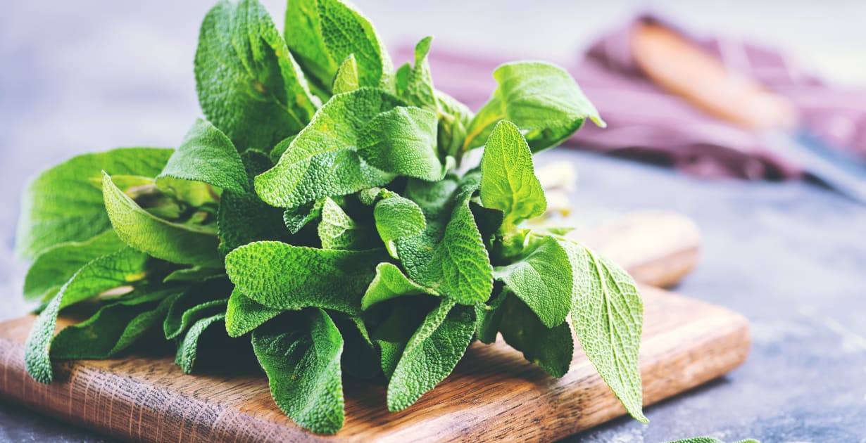 Sage Benefits & Uses for Skin, Memory & More - Dr. Axe