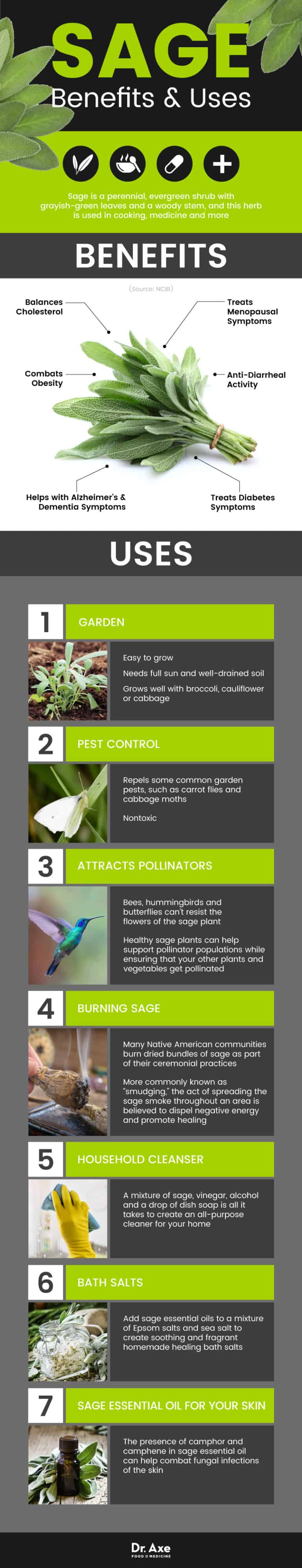 Sage Benefits & Uses for Skin, Memory & More Dr. Axe