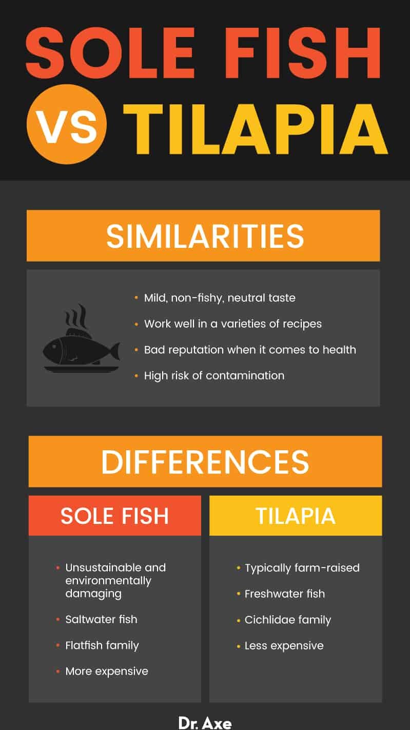 Sole fish vs. tilapia - Dr. Axe