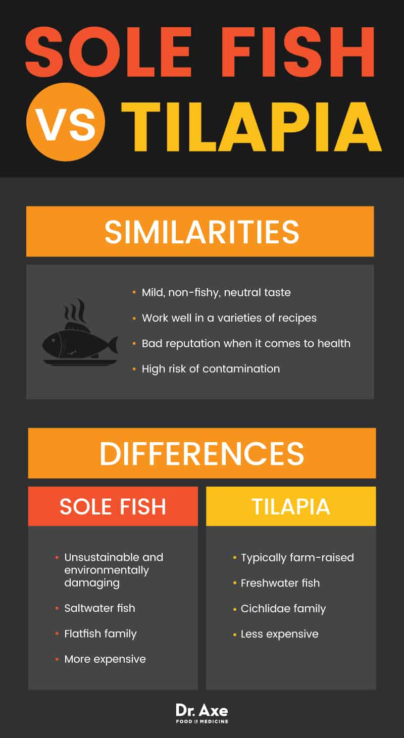 Sole fish vs. tilapia - Dr. Axe