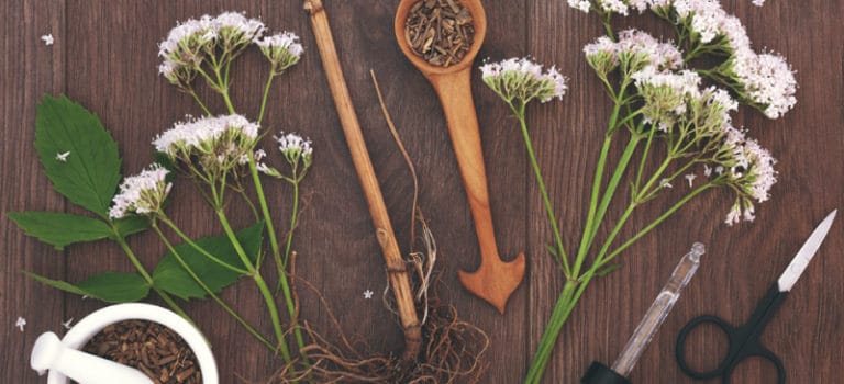 Valerian Root Benefits, Uses, Dosage And Side Effects - Dr. Axe