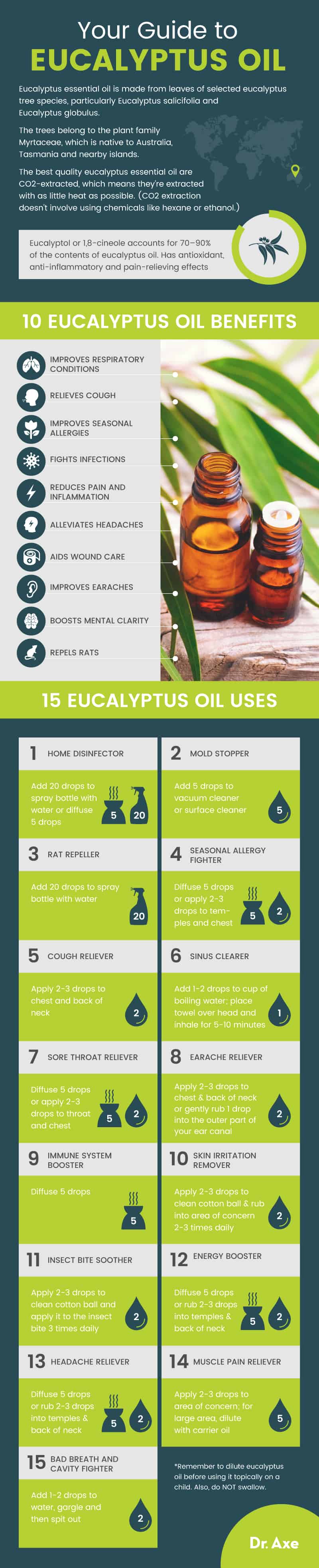 Eucalyptus oil guide - Dr. Axe