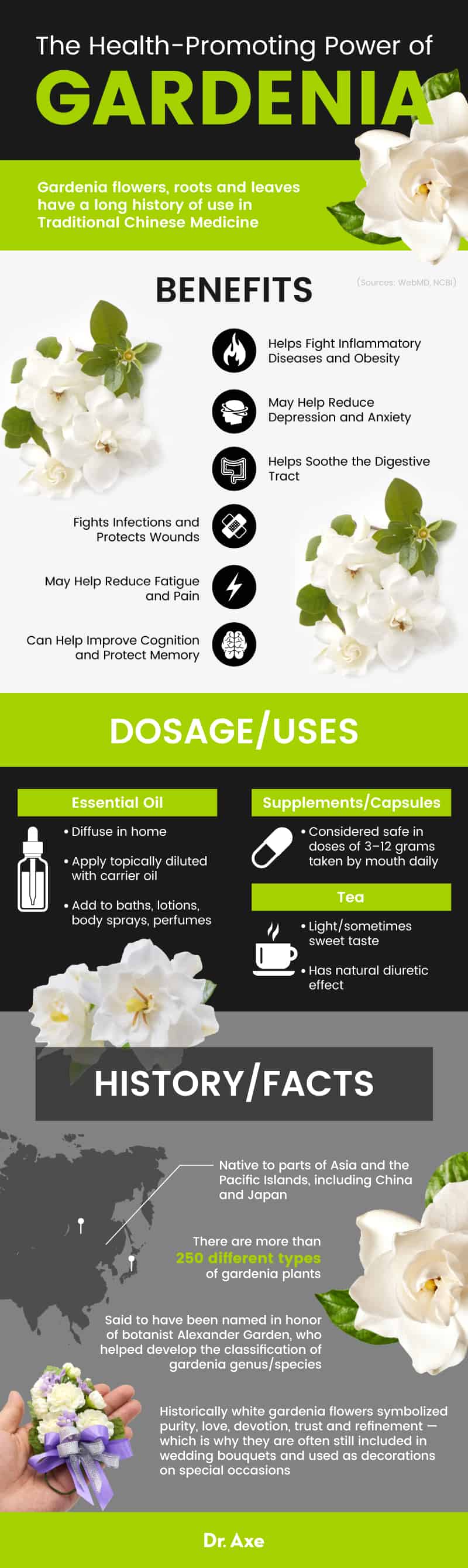 Top 6 Benefits of Gardenia Flowers & Gardenia Essential Oil - Dr. Axe