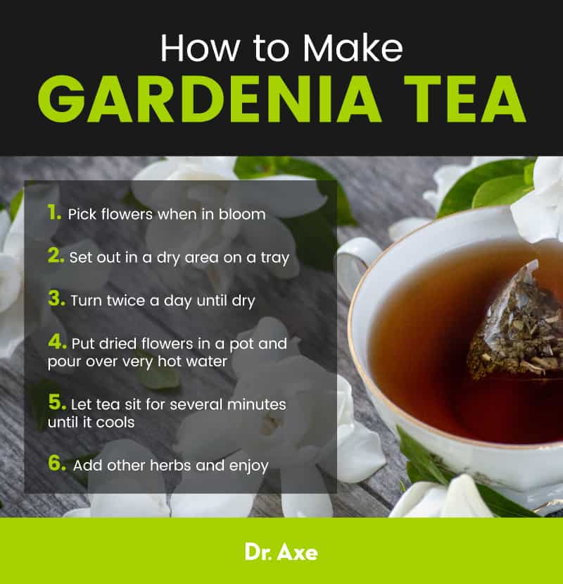 Gardenia tea - Dr. Axe