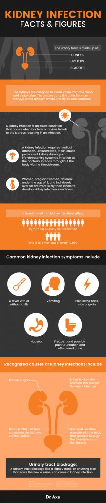 kidney-infection-symptoms-understanding-treatment-dr-axe