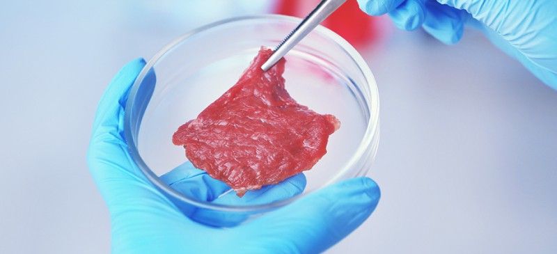 Lab-grown meat and food technology - Dr. Axe