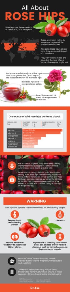 Rose Hips for Arthritis Relief + 4 Other Benefits - Dr. Axe