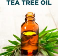 Tea tree oil - Dr. Axe