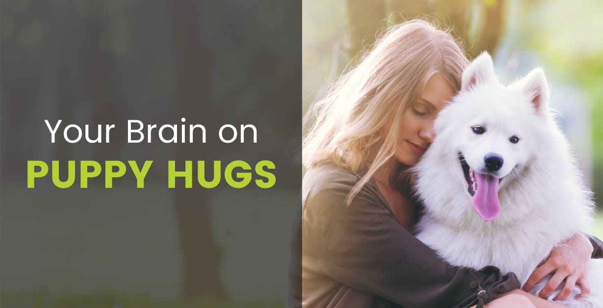 Health Benefits of Owning a Pet (AKA Your Brain on Puppy Hugs) - Dr. Axe