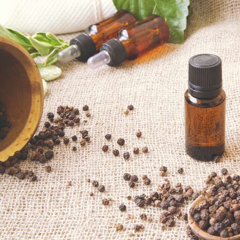Black pepper extract for preventing gas and bloating